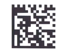 Data Matrix ��ά����